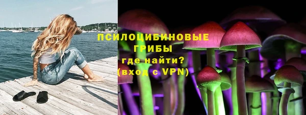 молекула духа Осинники