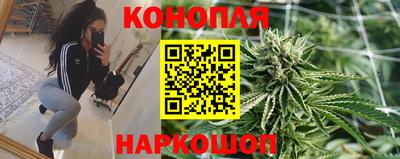 ПСИЛОЦИБИНОВЫЕ ГРИБЫ Заволжье