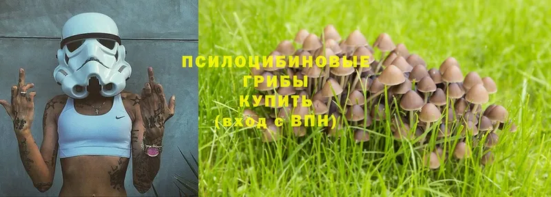 Псилоцибиновые грибы Cubensis  купить наркотики сайты  Ялта 